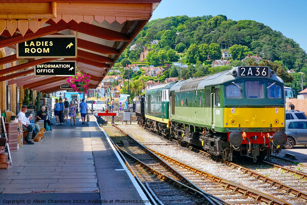 West Somerset Railway At Minehead Picture Board by Alison Chambers