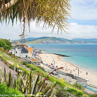 Buy canvas prints of Lyme Regis View by Alison Chambers
