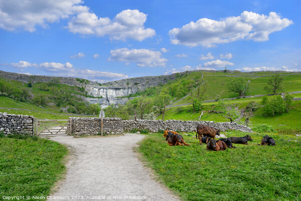 Malham Cove Picture Board by Alison Chambers