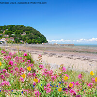 Buy canvas prints of Minehead Beach by Alison Chambers