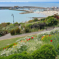 Buy canvas prints of Lyme Regis Dorset by Alison Chambers