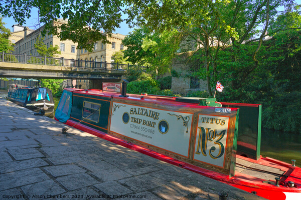 Saltaire Canal Picture Board by Alison Chambers