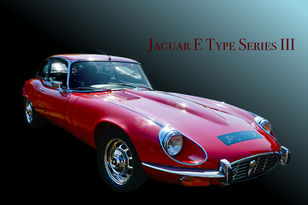 Jaguar E Type Series III Picture Board by Alison Chambers