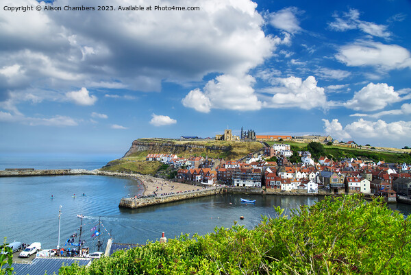 A Summertime View Of Whitby Picture Board by Alison Chambers