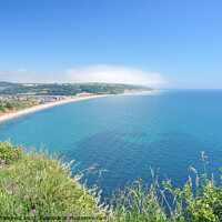 Buy canvas prints of The Beautiful Devon Coast by Alison Chambers