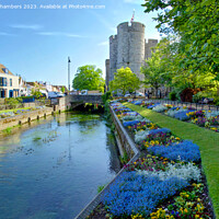 Buy canvas prints of Canterbury River Stour by Alison Chambers