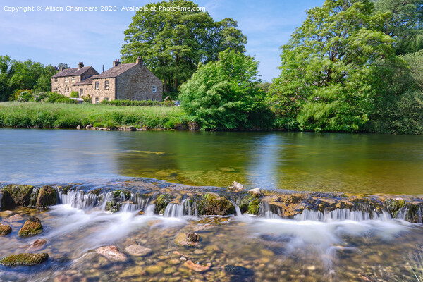 River Wharfe Cottages Linton Picture Board by Alison Chambers
