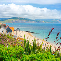 Buy canvas prints of Lyme Regis  by Alison Chambers