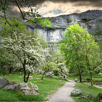 Buy canvas prints of Malham Cove In The Spring  by Alison Chambers