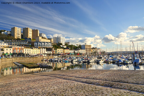 Torquay and the English Riviera  Picture Board by Alison Chambers