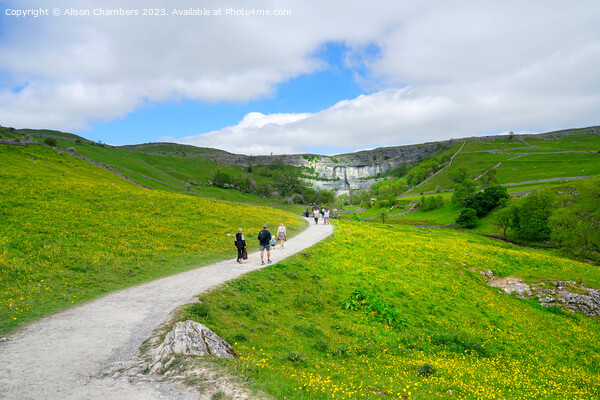 A Day Out At Malham Cove Picture Board by Alison Chambers