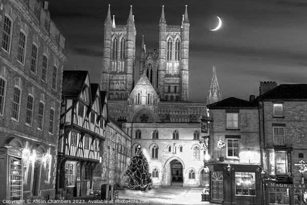 Lincoln Market Square and Cathedral at Night Picture Board by Alison Chambers
