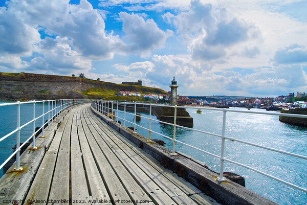 Whitby East Pier and Extension Bridge  Picture Board by Alison Chambers