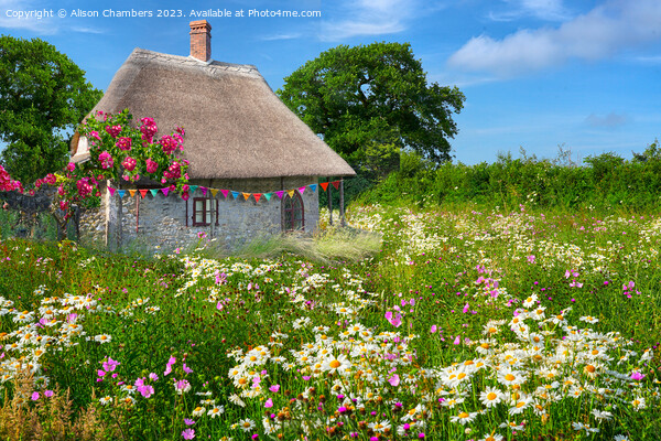 English Thatched Cottage and Wildflower Meadow Picture Board by Alison Chambers