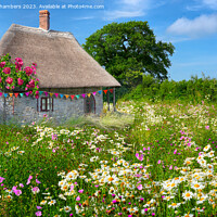 Buy canvas prints of English Thatched Cottage and Wildflower Meadow by Alison Chambers