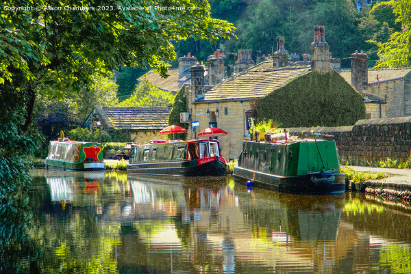 Summer Evening Rochdale Canal Hebden Bridge  Picture Board by Alison Chambers