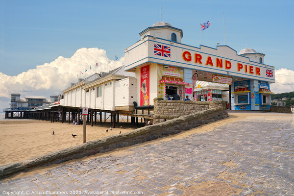 Weston super Mare Grand Pier Picture Board by Alison Chambers