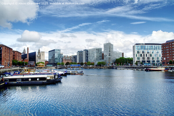 Salthouse Dock Liverpool  Picture Board by Alison Chambers