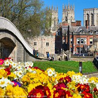 Buy canvas prints of York Minster Cathedral  by Alison Chambers