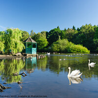 Buy canvas prints of Golden Acre Park Leeds by Alison Chambers