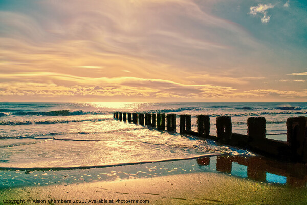 Bridlington Beach at Sunrise Picture Board by Alison Chambers