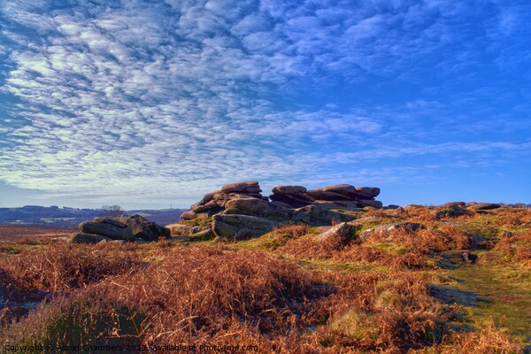 Owler Tor Peak District Picture Board by Alison Chambers