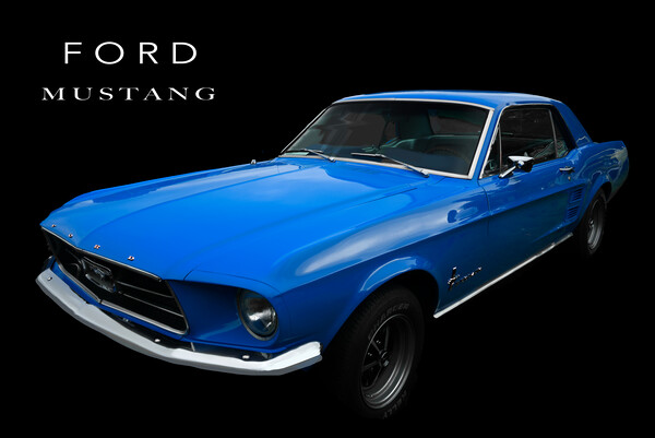 Ford Mustang Picture Board by Alison Chambers