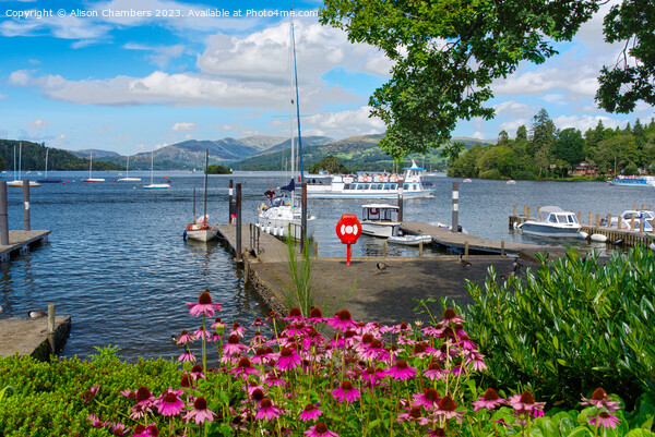 Bowness On Windermere Picture Board by Alison Chambers