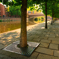 Buy canvas prints of Leeds River Aire Sunrise by Alison Chambers