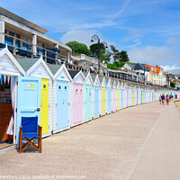 Buy canvas prints of Lyme Regis Beach Huts by Alison Chambers