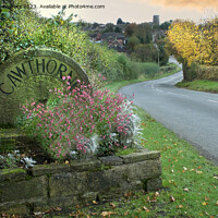 Buy canvas prints of Cawthorne Barnsley  by Alison Chambers