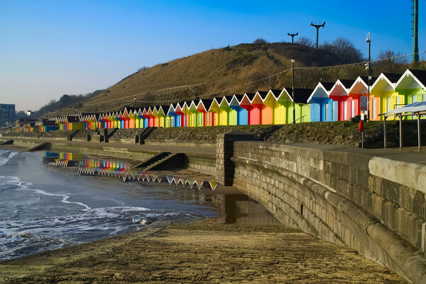 Dawn At Scarborough Beach Huts Picture Board by Alison Chambers