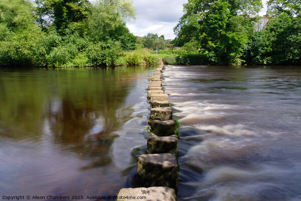 River Wharf Stepping Stones Picture Board by Alison Chambers