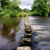 Buy canvas prints of River Wharf Stepping Stones by Alison Chambers