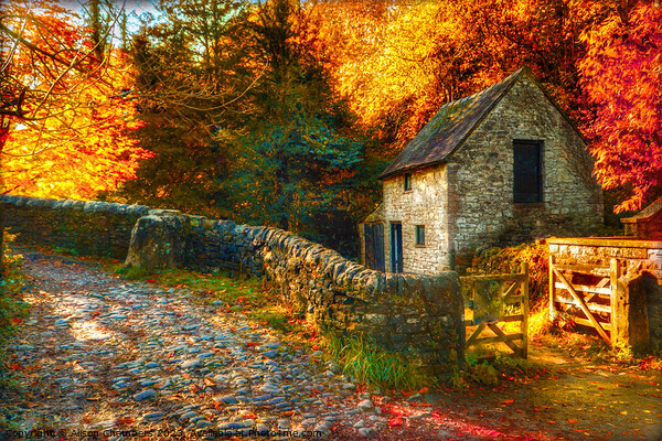Milldale Peak District in Autumn  Picture Board by Alison Chambers