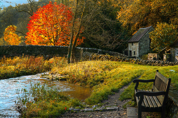 Milldale in Dovedale Picture Board by Alison Chambers