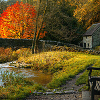 Buy canvas prints of Milldale in Dovedale by Alison Chambers