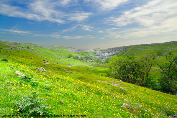 Malham Cove Picture Board by Alison Chambers