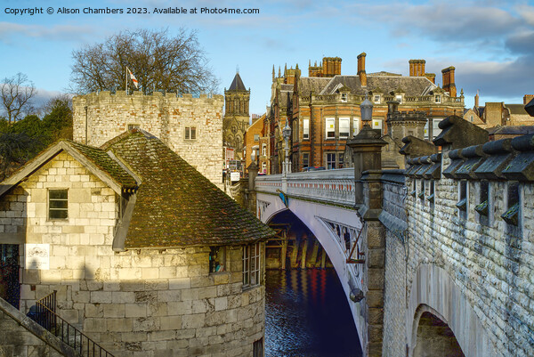 Lendal Bridge on River Ouse in York  Picture Board by Alison Chambers