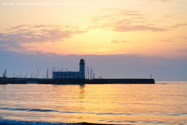 Scarborough Lighthouse at Sunrise Picture Board by Alison Chambers