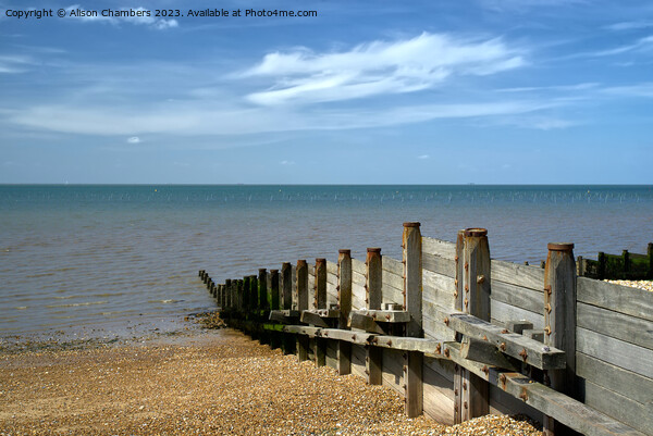 Whitstable Beach and Sea Groynes Picture Board by Alison Chambers