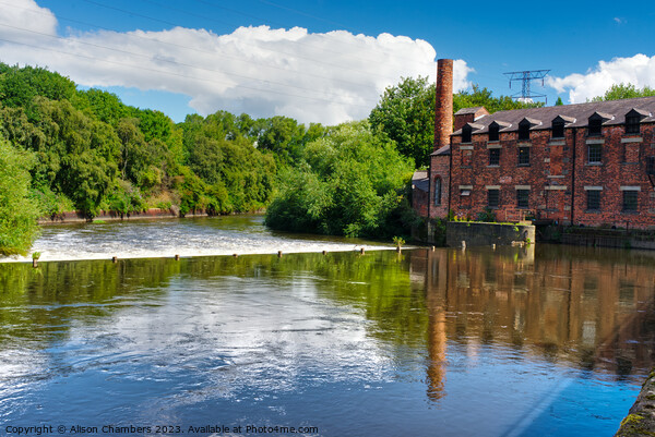 Thwaite Watermill in Leeds Picture Board by Alison Chambers