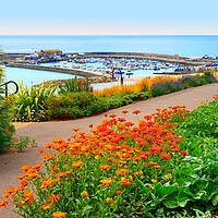 Buy canvas prints of Beautiful Lyme Regis by Alison Chambers