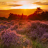 Buy canvas prints of Ilkley Moor Sunset by Alison Chambers