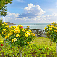 Buy canvas prints of Golden Wedding at Filey by Alison Chambers