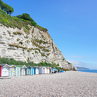 Buy canvas prints of Beer Dorset by Alison Chambers
