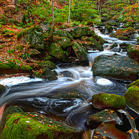 Buy canvas prints of Padley Gorge by Alison Chambers