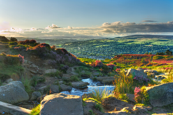 A Summer Evening on Ilkley Moor Picture Board by Alison Chambers