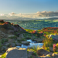 Buy canvas prints of A Summer Evening on Ilkley Moor by Alison Chambers