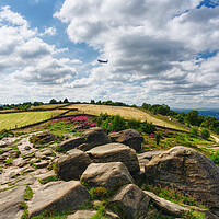 Buy canvas prints of Otley Chevin Plane by Alison Chambers